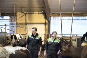 Bioeconomy